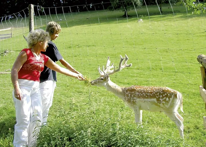 Zuwaelder Stueble Han/Misafirhane