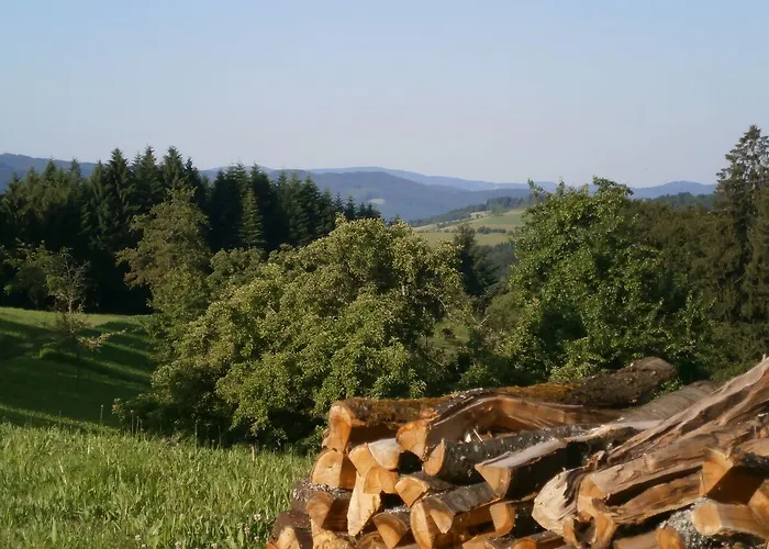 Inn Zuwälder Stüble Oberharmersbach